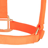 Almartigon Weaer Mod 35-7005 BO