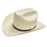 Larry Mahan El Noble Natural 100X Copa 67 Ala 3 1/2"