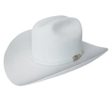 Larry Mahan Independencia 100X Platinum Copa 65