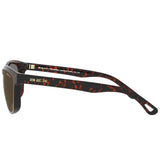 Lentes Bex Griz Mod S46TB