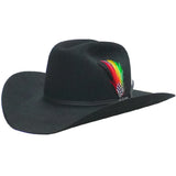 Stetson Roper 6x Black