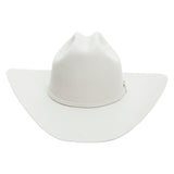 Stetson Skyline 6x Silver Grey