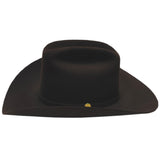 Stetson The Golden Eagle 100X Chocolate 160Th Edition