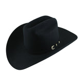 Stetson Palacio 6x Black