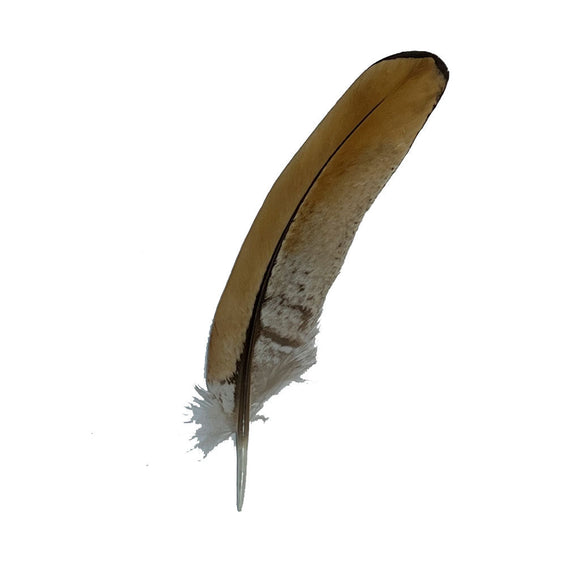 Pluma Stetson Para Sombrero Dorada