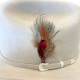 Pluma Stetson Para Sombrero Beige