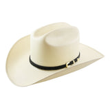 Stetson Marana 10x Natural
