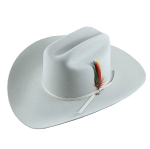 Stetson Rancher 6x Silvergrey