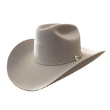 Stetson Adelante 6X Silverbelly